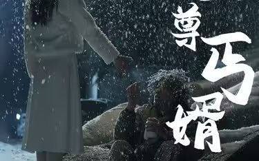 至尊丐婿(全集)